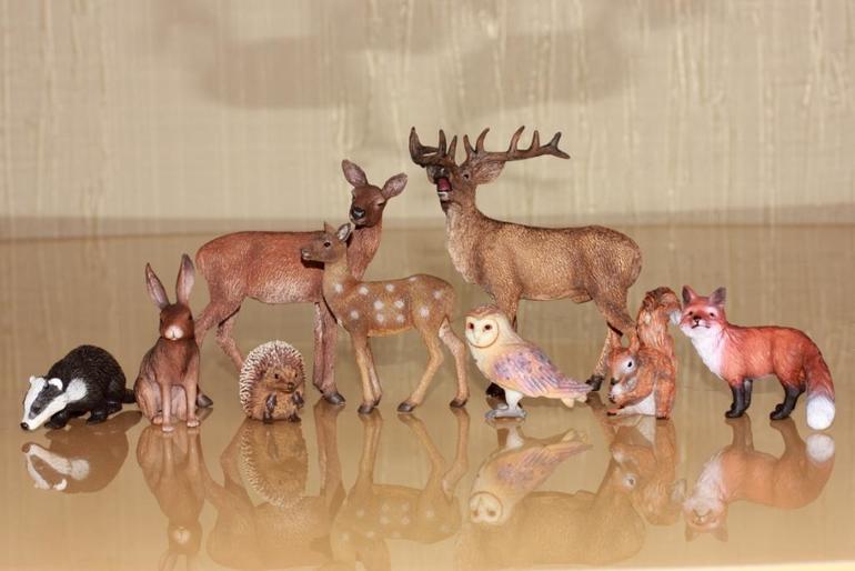 Изучаем животных.