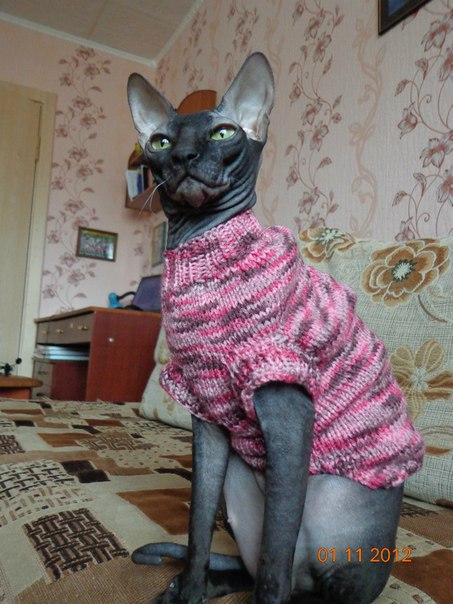 Девочки рукодельницы! Кто-нибудь вяжет на заказ ?