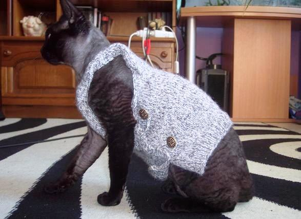 Девочки рукодельницы! Кто-нибудь вяжет на заказ ?