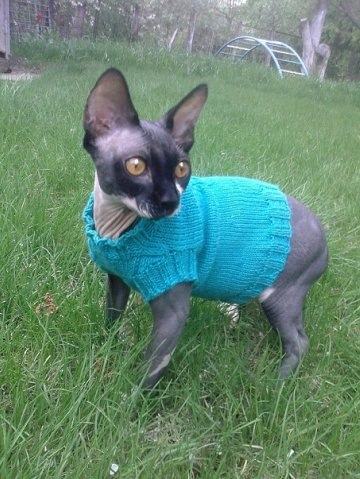 Девочки рукодельницы! Кто-нибудь вяжет на заказ ?