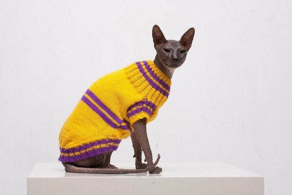 Девочки рукодельницы! Кто-нибудь вяжет на заказ ?