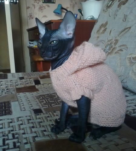 Девочки рукодельницы! Кто-нибудь вяжет на заказ ?