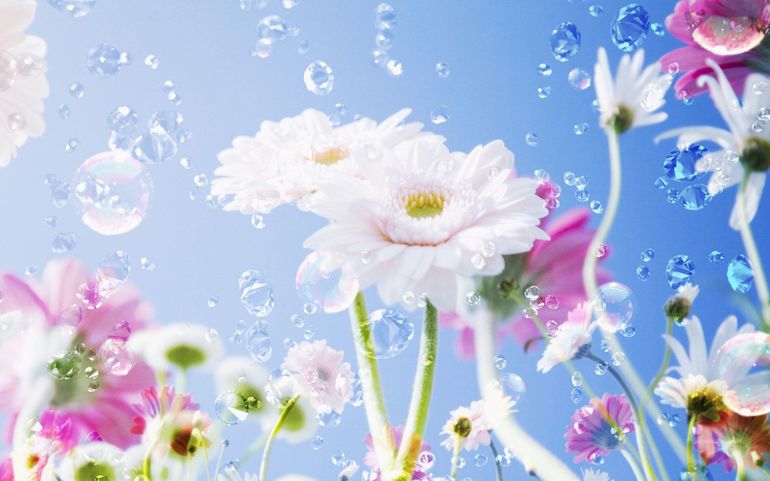 790bb169af36c8273b1293c7e709cfe8.jpg