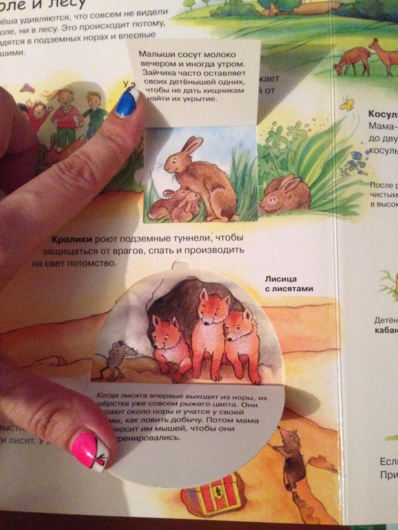 Наше чтиво.