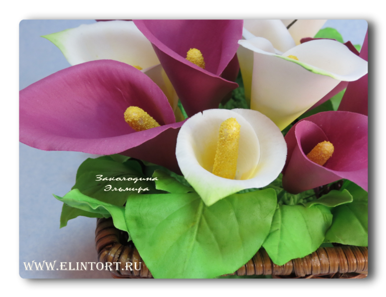 Сахарные Каллы.