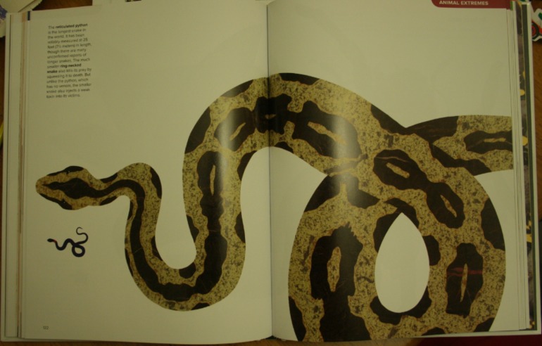 Наше новое увлечение