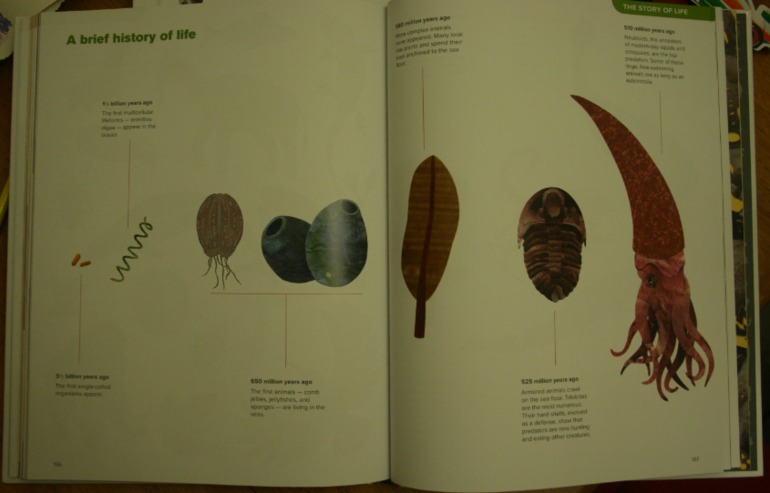 Наше новое увлечение