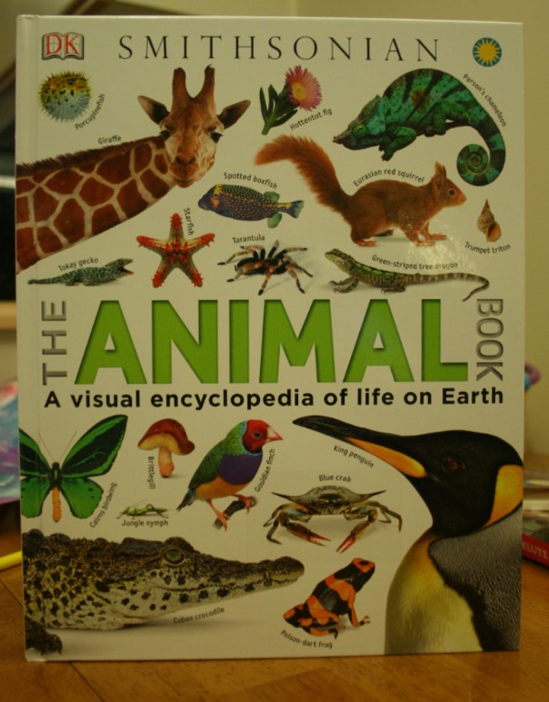 Наше новое увлечение