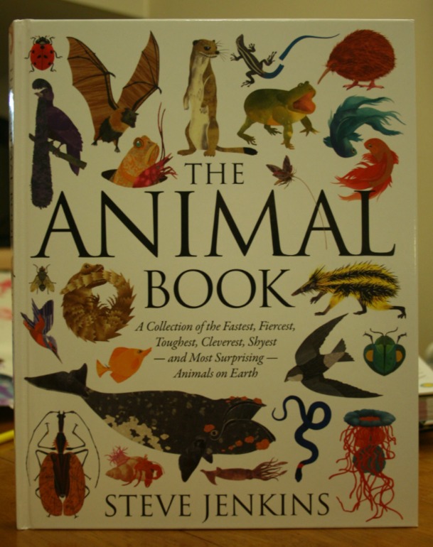 Наше новое увлечение