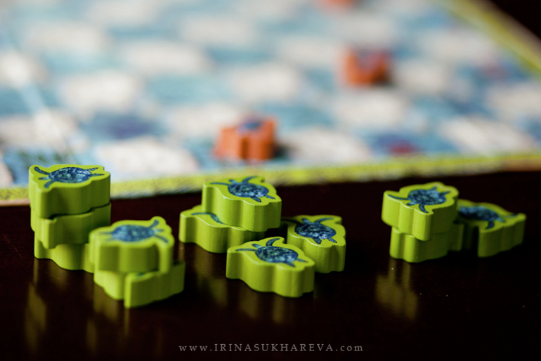 Настольные игры от Всемирного Фонда дикой природы (WWF).