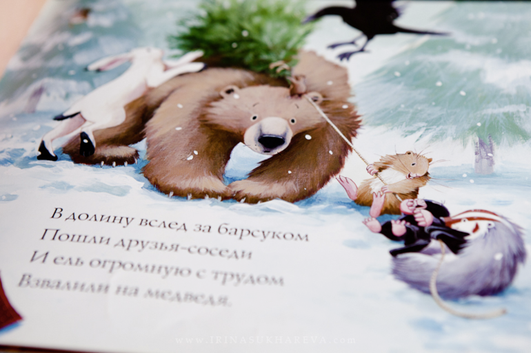 Зимние книги, которые живут в нашем доме.