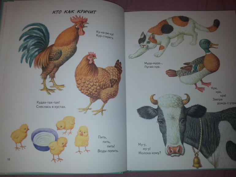 Сборник стихов