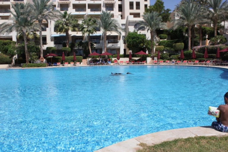 Отель Гранд Ротана в Шарме