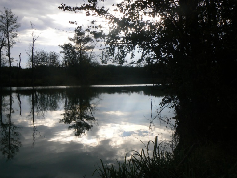 Последняя (?) вылазка))