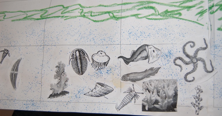 Эволюция и этапы жизни.