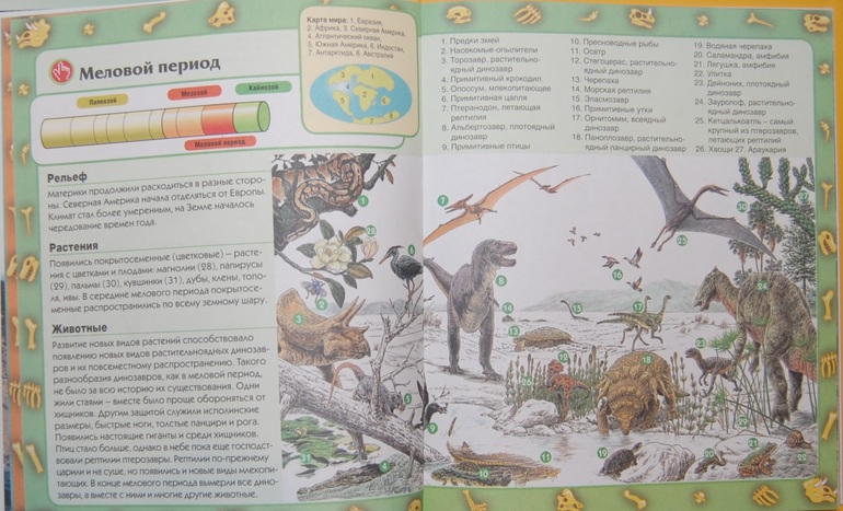 Эволюция и этапы жизни.