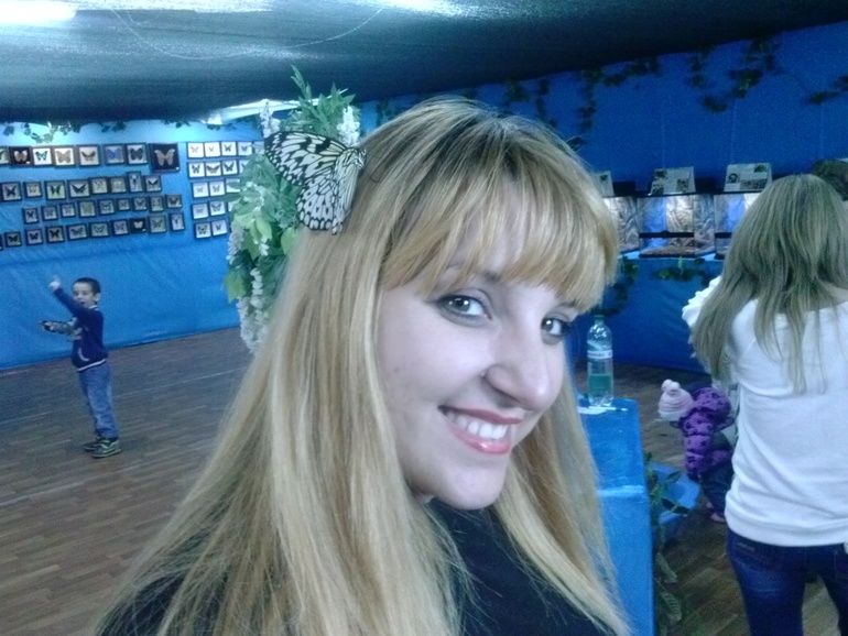 Выставка бабочек))))