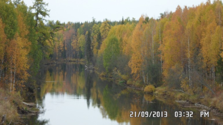 Осенняя поездка в лес