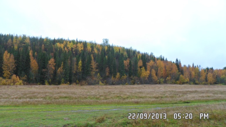 Осенняя поездка в лес