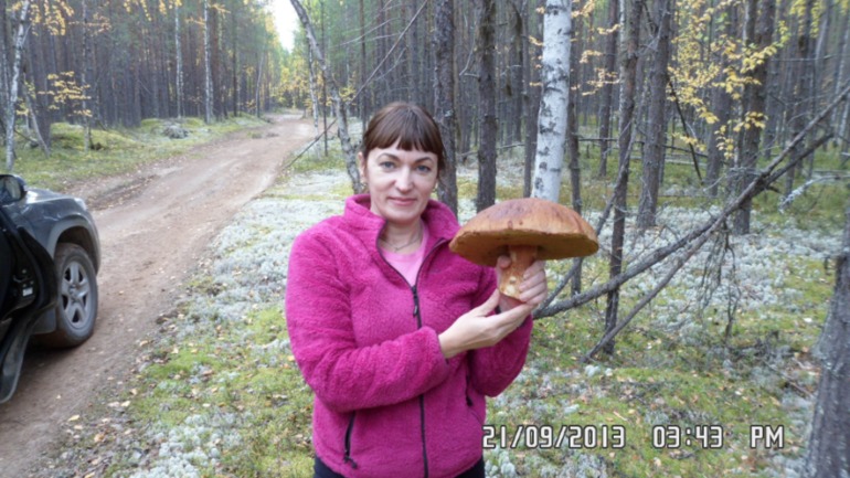Осенняя поездка в лес