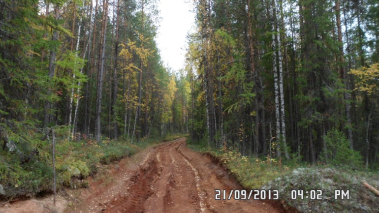 Осенняя поездка в лес