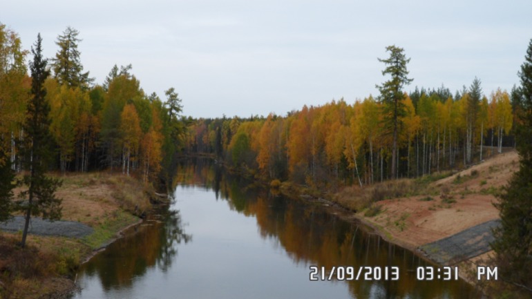 Осенняя поездка в лес