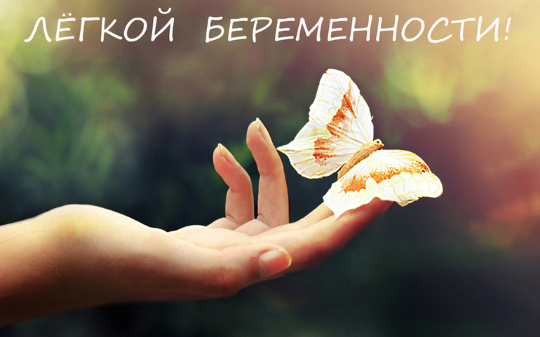 fb1228b119584382c1cc999b648c92c3.jpg