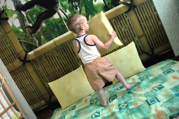 Ежики в листьях)