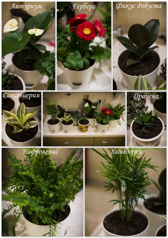 Мои новые друзья))