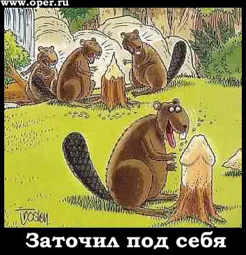 c5b961b4c84e8f0ce3af1c57b8fb548a.jpg