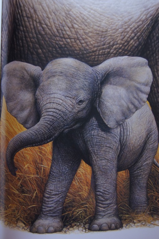 Большой атлас животных