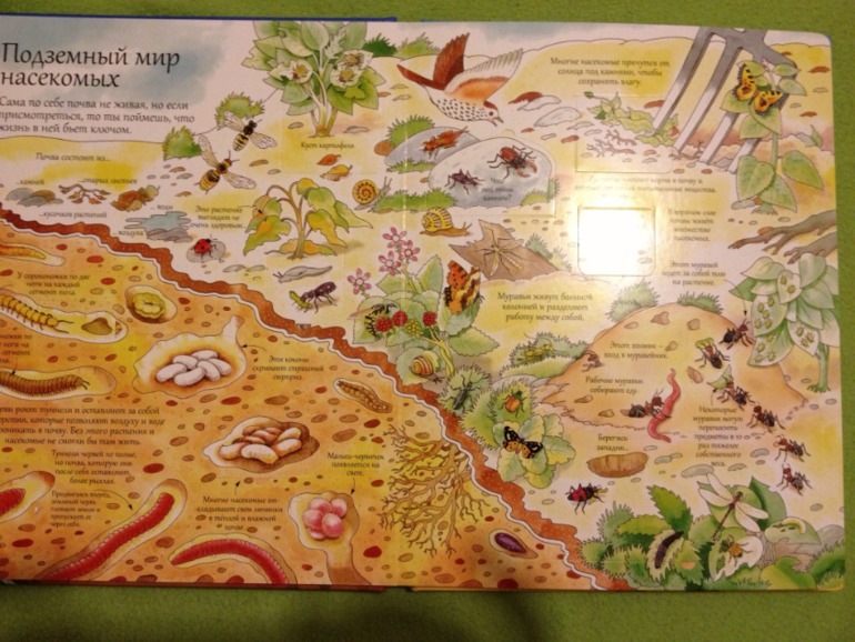 Пополнение ;)