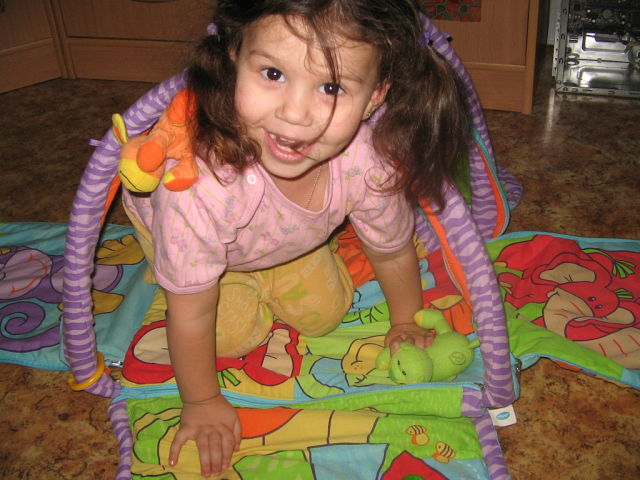 6a362ad0a67ed74fed22dc9eee967cb1.jpg