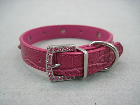 Ошейники и шарфики для маленьких модников и модниц.