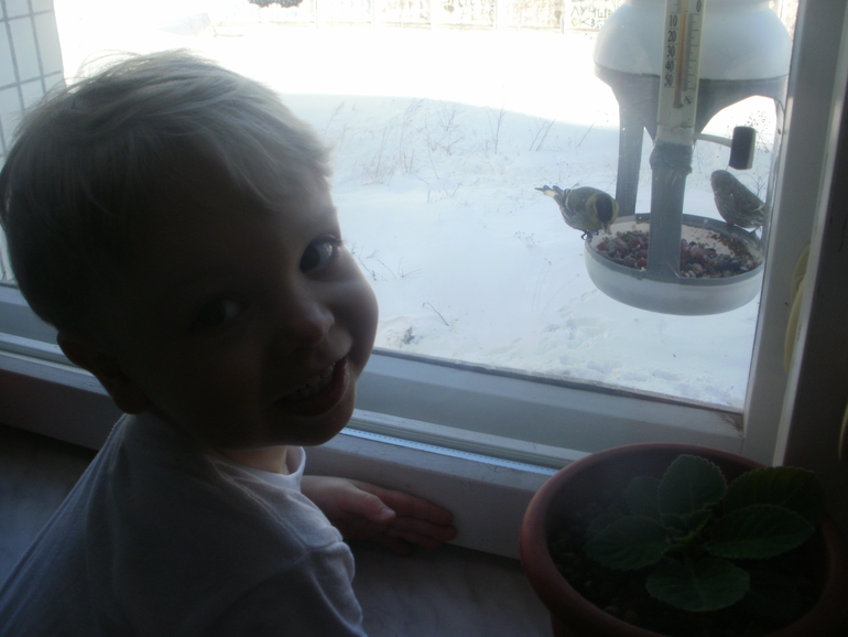 Развлечение с пользой :)