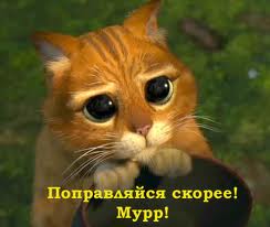 c8695910c49c9b1ba2c78babd2684826.jpg