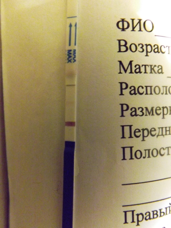 Что вообще происходит??????????