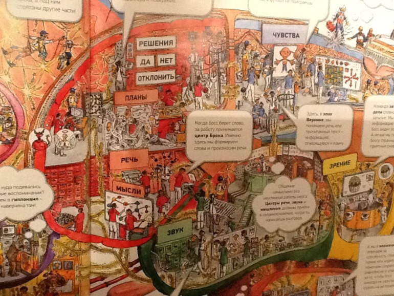 Тело человека!!!!