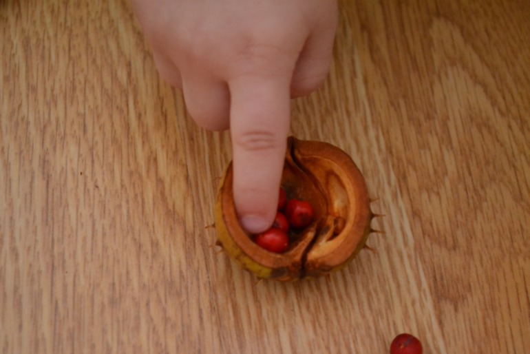 Тематические дни