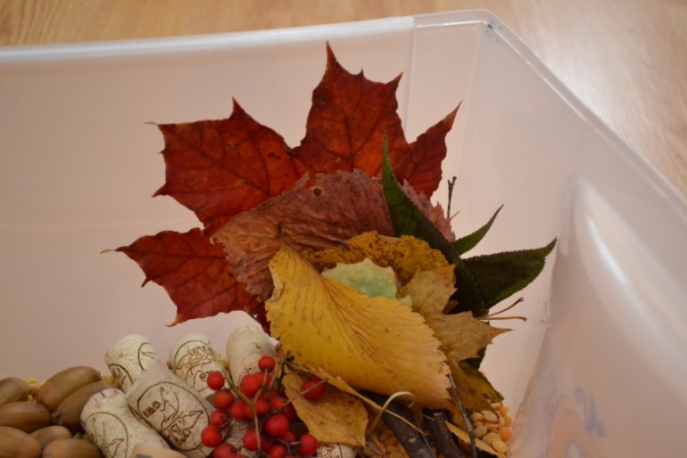 Тематические дни