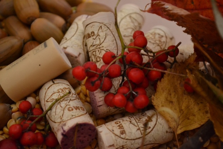 Тематические дни