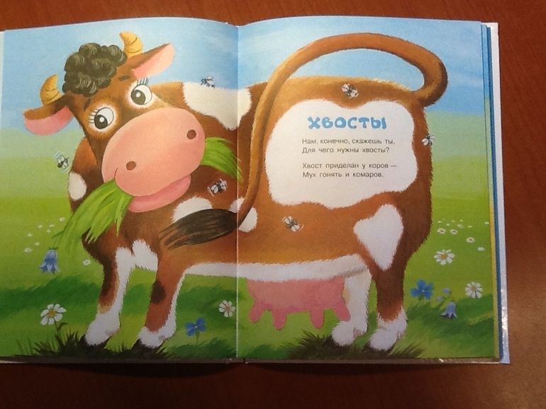 Последнее малышовое)