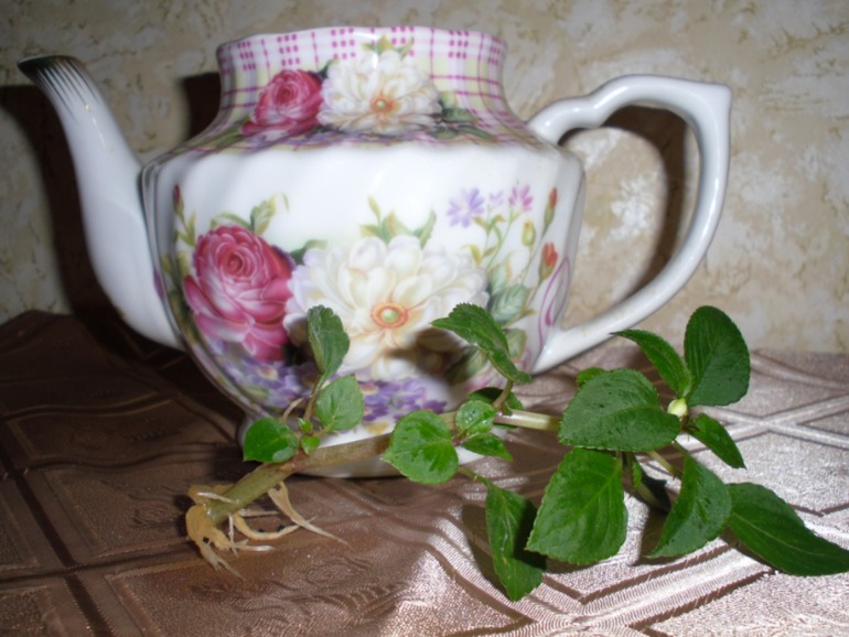 Посмотрите-помогите советом