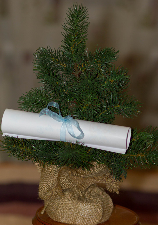 Уютная елочка или сюрприз от Деда Мороза