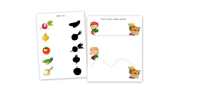 ТН Овощная. Свёкла, репа и редис.