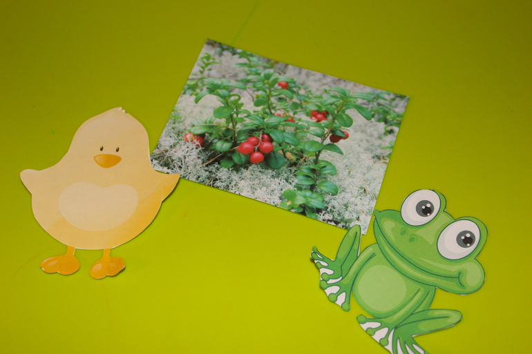 ТН Цвета. Красный цвет.