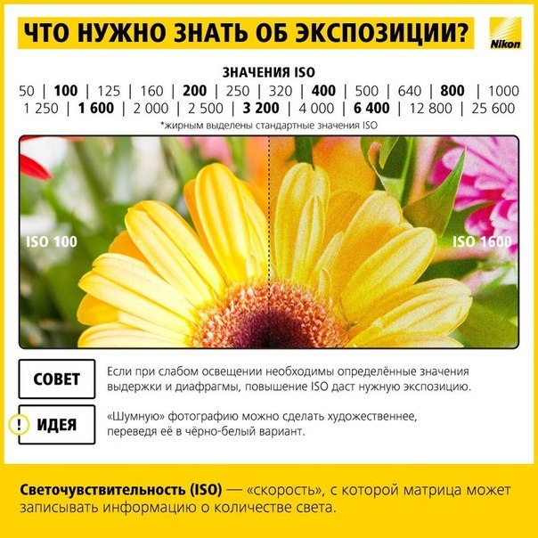 9394bf23e9fdf31344bce78c35982db3.jpg