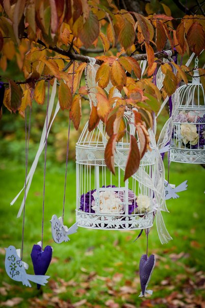 Лавандовый бум... Или немного Прованса в холодной и дождливой Москве....
