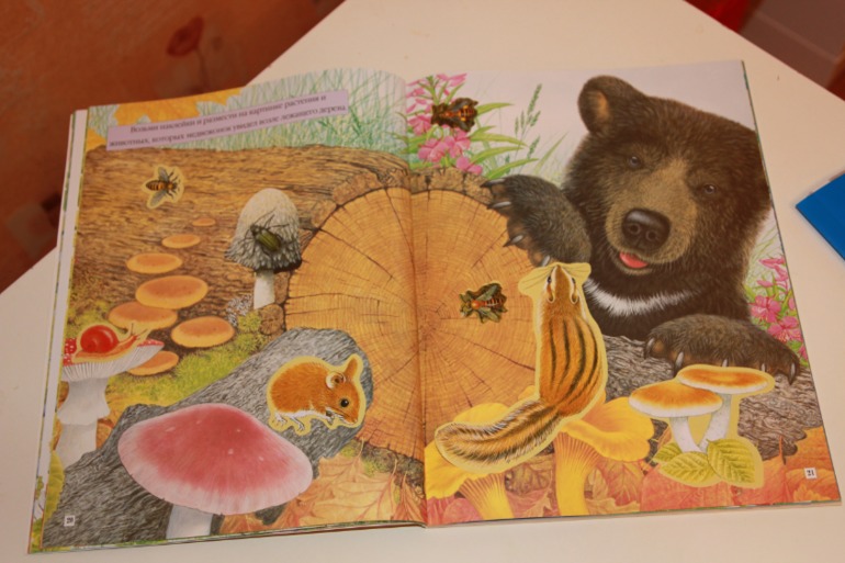 Осеннее творчество Анастасии