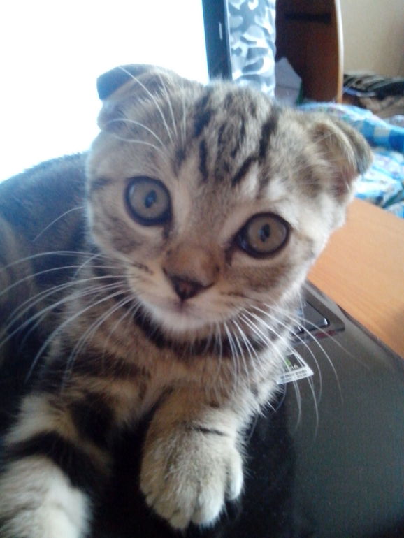 Нам уже 6 мес.